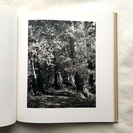 Tree Line / Robert Adams