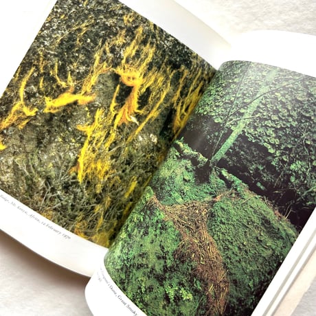 Nature’s Chaos / ジェームズ・グレイック (テキスト)、エリオット・ポーター (写真)