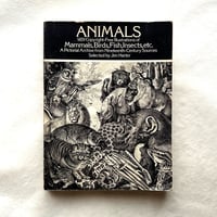 ANIMALS   /  ジム・ハーター.