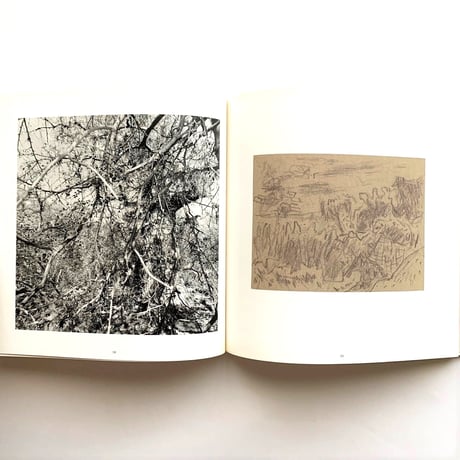 Photographs & Drawings  / Lee Friedlander