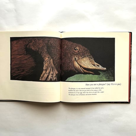 Ever Heard of an Aardwolf?/ Madeline Moser
