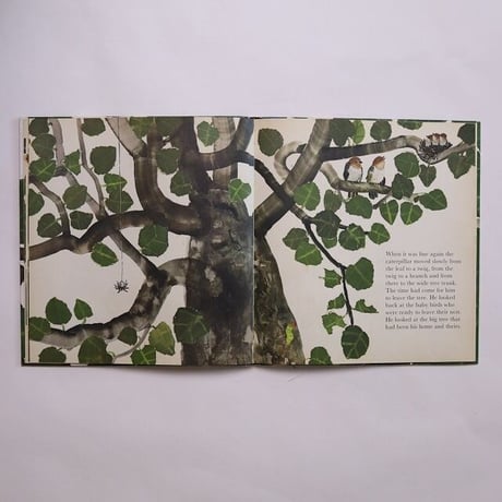 The Caterpillar's Story / Katrin Brandt