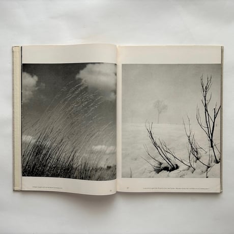 Sehen Gestalten  / Fritz Kuhn フリッツ・クーン