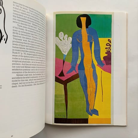 Henri Matisse 1869-1954 Master of Colour