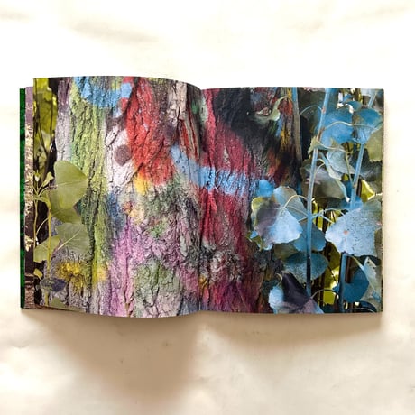 Our Nature   / Janine Schrijver