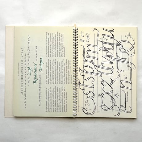 26 Letters, Lettern, Lettres