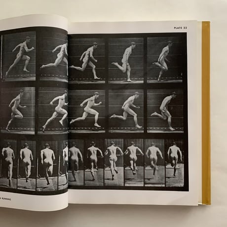 The Human Figure in Motion   / Eadweard Muybridge