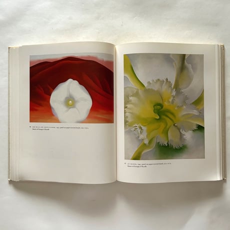 Georgia O'Keeffe  Art and Letters / Jack Cowart, Juan Hamilton