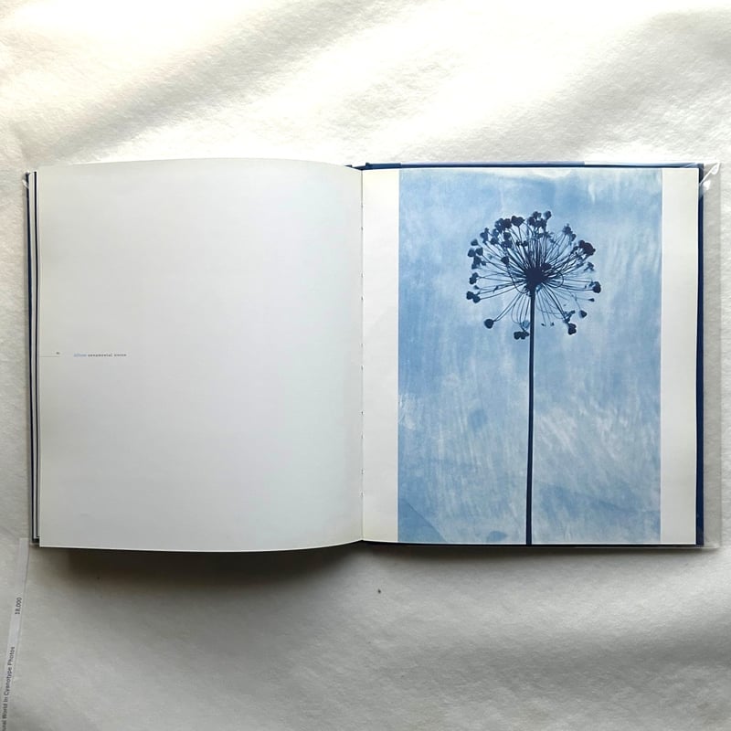Blue Prints / Zeva Oelbaum | 本まるさんかくしかく