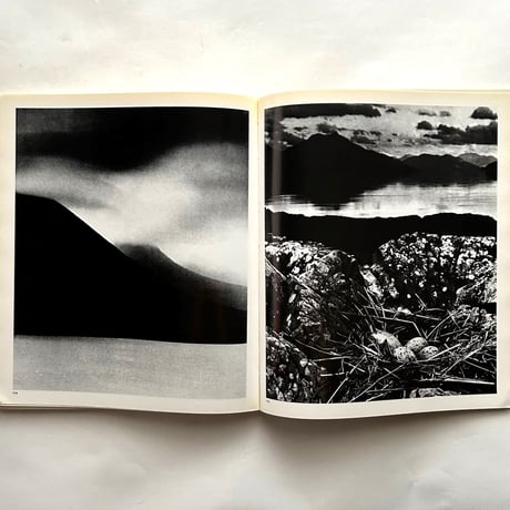 Shadow of Light  / Bill Brandt