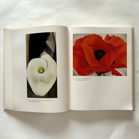 Georgia O'Keeffe  Art and Letters / Jack Cowart, Juan Hamilton