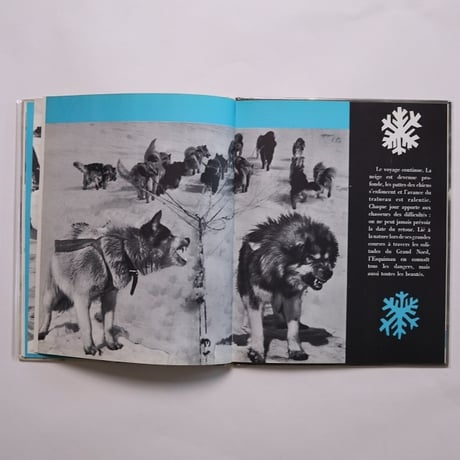 Achouna, le Petit Esqimau / Dominique Darbois　古書