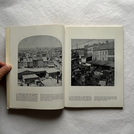 Nineteenth-Century New York in Rare Photographic Views / Frederick S. Lightfoot