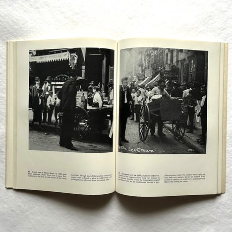 Nineteenth-Century New York in Rare Photographic Views / Frederick S. Lightfoot