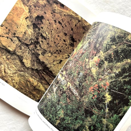 Nature’s Chaos / ジェームズ・グレイック (テキスト)、エリオット・ポーター (写真)