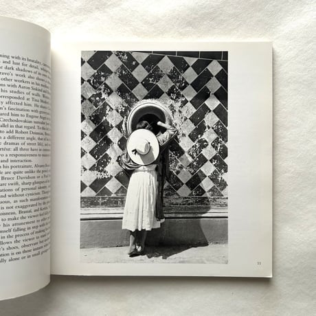 Manuel Alvarez Bravo (Aperture Masters of Photography Three) / Aperture