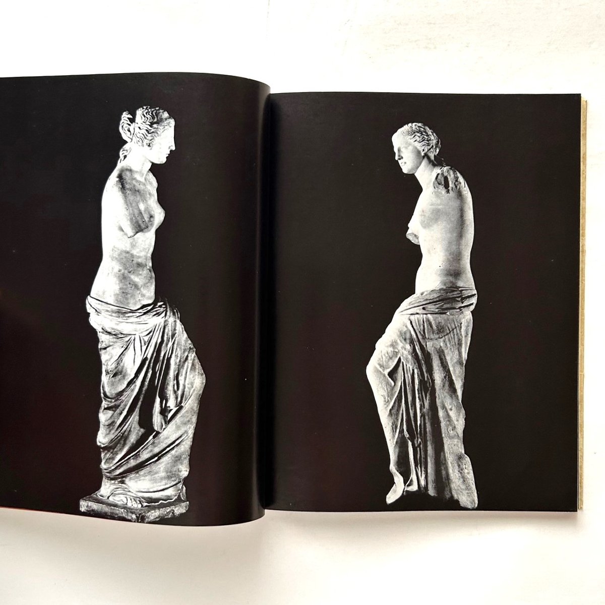 La Vénus de Miloミロのビーナス 特別公開図録 | 本まるさんかくしかく