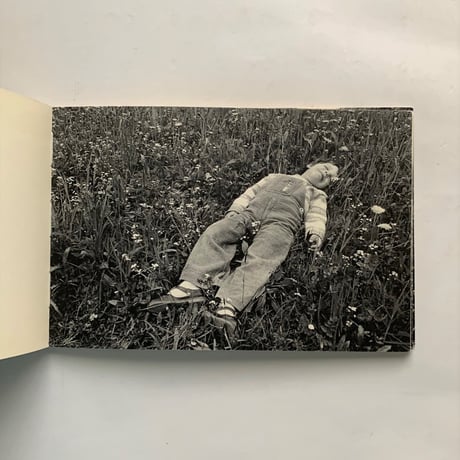 cicci cocco / Bruno Munari, Enzo Arnone