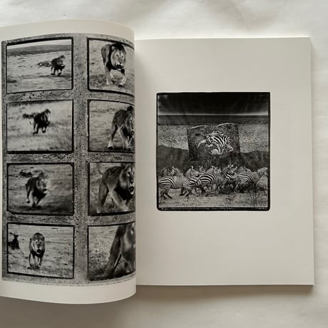 カメラ・インターナショナル 日本版4号 動物写真譚