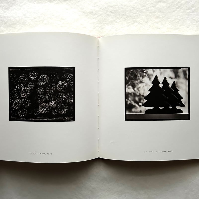 Monique's Kindergarten モニークの幼稚園 / Michael Kenna