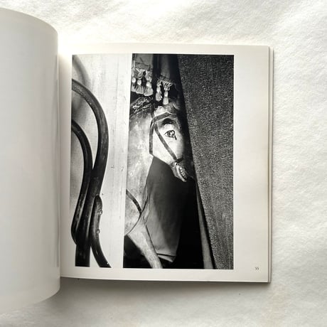 Manuel Alvarez Bravo (Aperture Masters of Photography Three) / Aperture