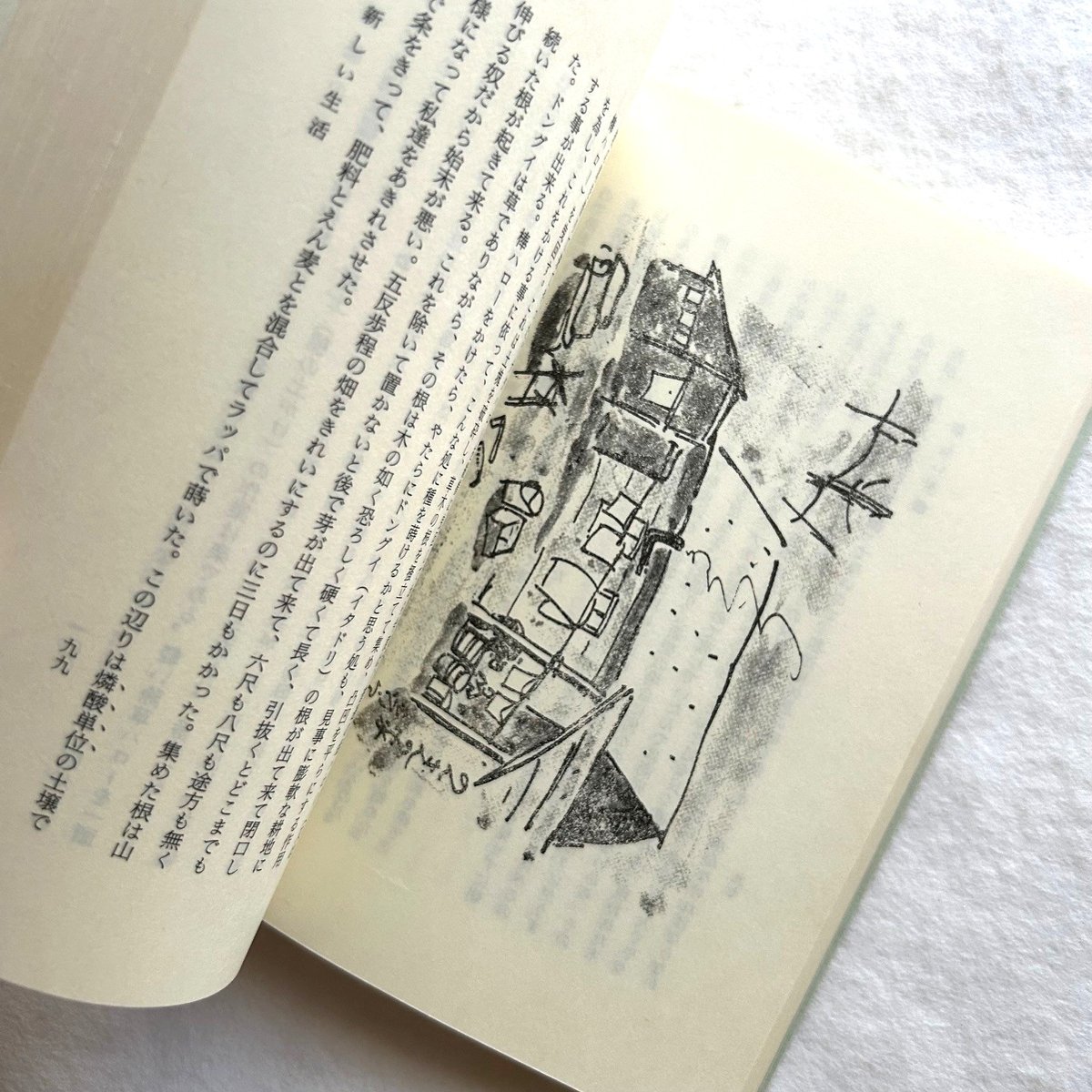 開墾の記（復刻版） / 坂本直行 | 本まるさんかくしかく