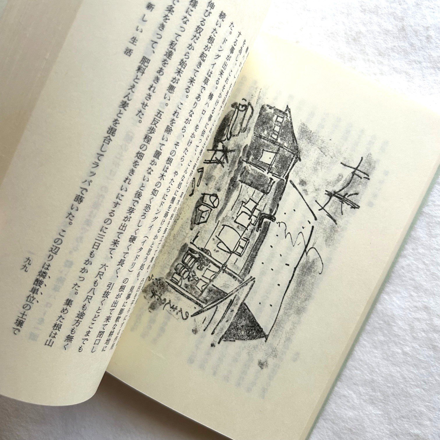 開墾の記（復刻版） / 坂本直行 | 本まるさんかくしかく