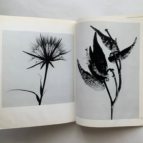 camera No 3 / 52th year / C.J.BUCHER.LTD