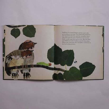 The Caterpillar's Story / Katrin Brandt