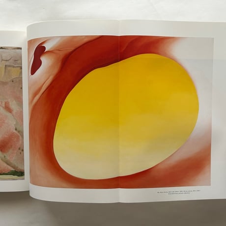 Georgia O'Keeffe Museum