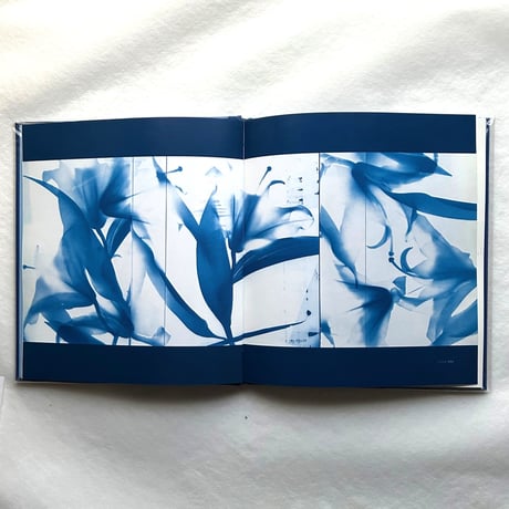 Blue Prints / Zeva Oelbaum