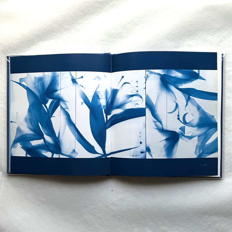 洋書 Blue Prints Zeva Oelbaum Blue Prints / Zeva Oelbaum | 本まるさんかくしかく