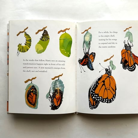 Hurry and the Monarch / Antoine O Flatharta , Meilo So　古書