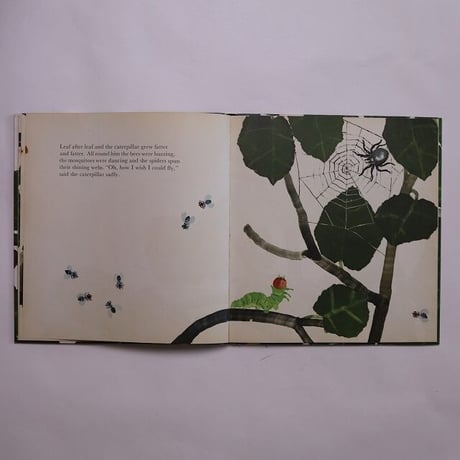 The Caterpillar's Story / Katrin Brandt