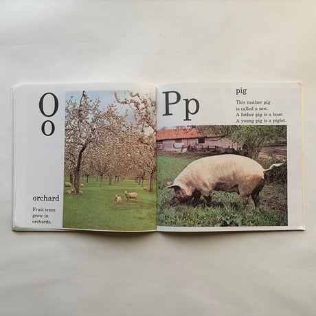 Farm Alphabet Book / Jane Miller　古書