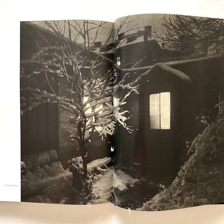Josef Sudek Poet of Prague / Anna Farova