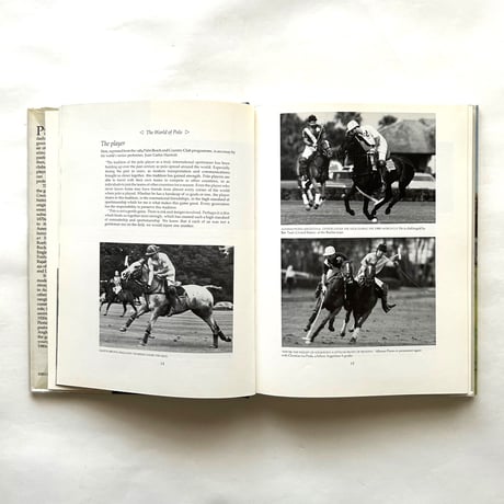 The World of Polo , Past and Present