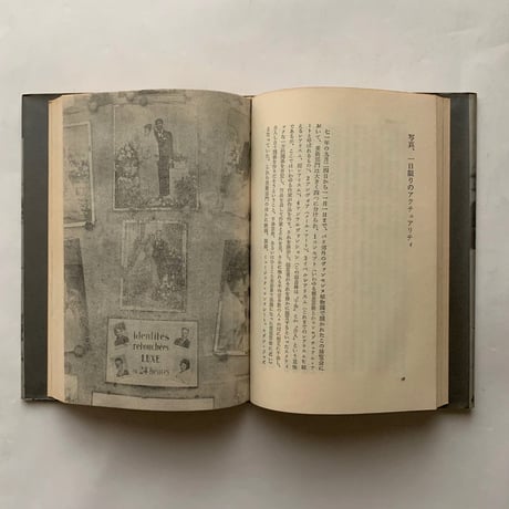 なぜ、植物図鑑か―中平卓馬映像論集