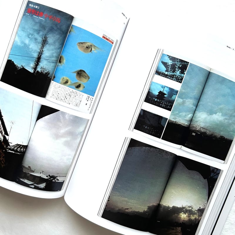 新品　new】中平卓馬　火―氾濫　写真集　カタログ　森山大道 新品 new』中平卓馬 火―氾濫 写真集 カタログ 森山大道 中平