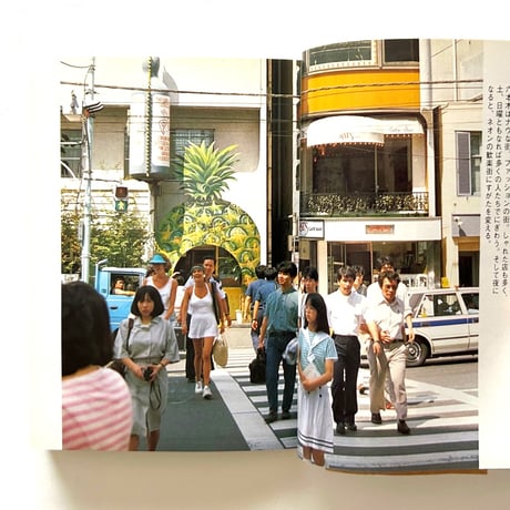 東京山手ぶらり散歩 / カラーブックス664
