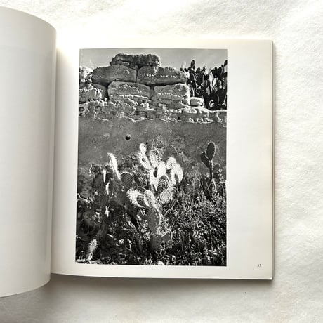 Manuel Alvarez Bravo (Aperture Masters of Photography Three) / Aperture
