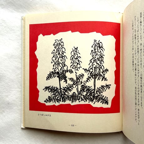 わたしの草と木の絵本 / 坂本直行