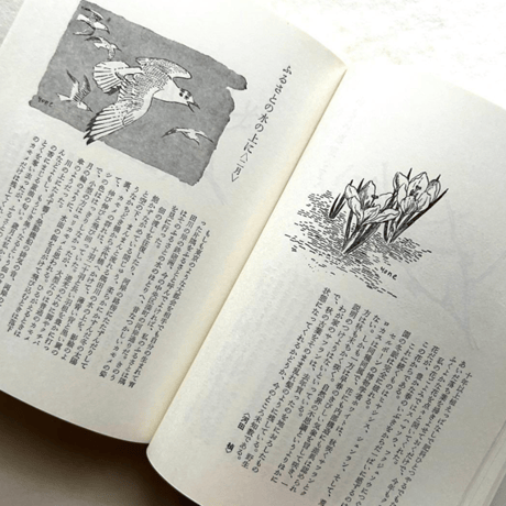 自然手帖 / 串田孫一 、尾崎喜八、太田黒克彦 他
