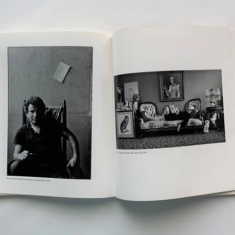Arnold Newman's Americans / Alan Fern