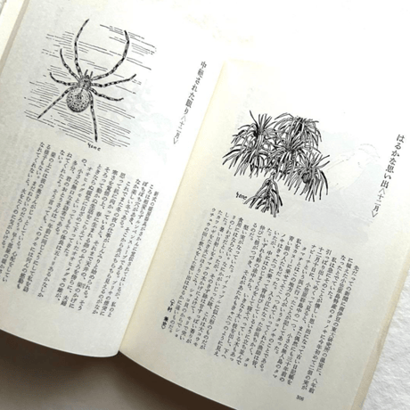 自然手帖 / 串田孫一 、尾崎喜八、太田黒克彦 他