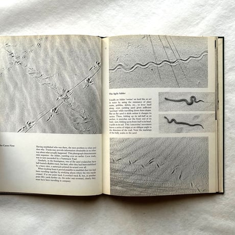 Tracks / E. A. R. Ennion & N. Tinbergen