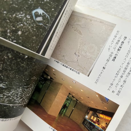 都市の化石地図 / カラーブックス587