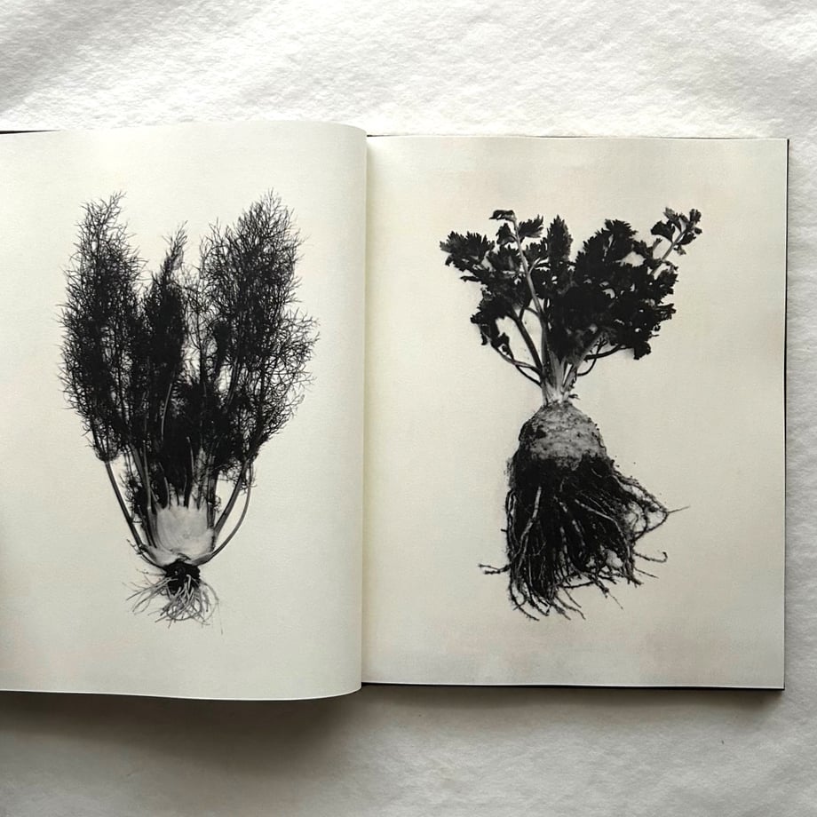 684f96d15d2d4e005dd78080