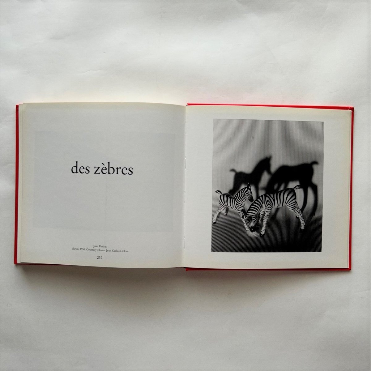 Album / Gabriel Bauret | 本まるさんかくしかく