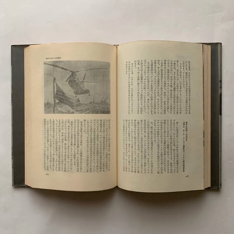 なぜ、植物図鑑か―中平卓馬映像論集